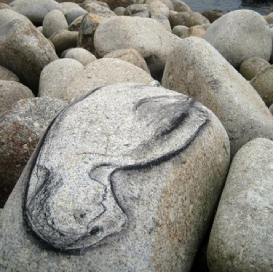 on top of grey rocks lays a grey selkies skin with the faint outline of a human person.